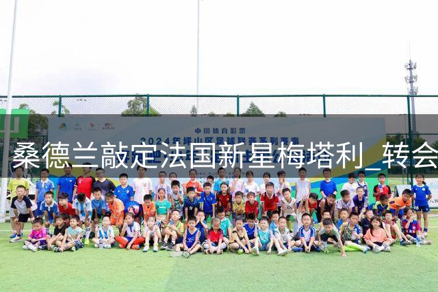 桑德兰敲定法国新星梅塔利 转会总值达3000万欧元